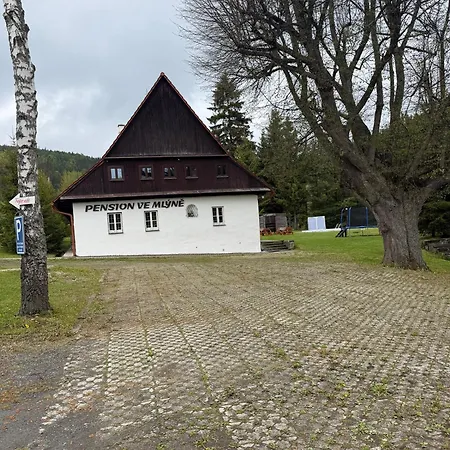 Ve Mlýně - - Kopřivná Apartahotel